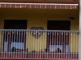 Aranytölgy színű aluredőny balkonon és ablakban – Budapest XIII. kerület 